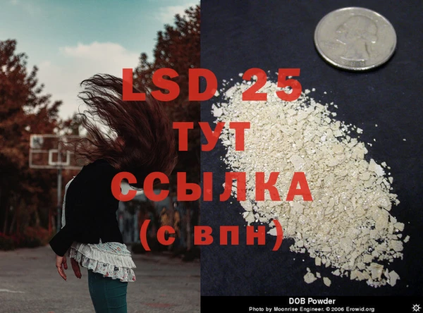 ALPHA-PVP Богородицк