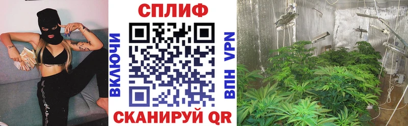 МАРИХУАНА OG Kush  Долгопрудный 